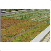 2021-07-19 -T9- Christophe Colomb 07.jpg